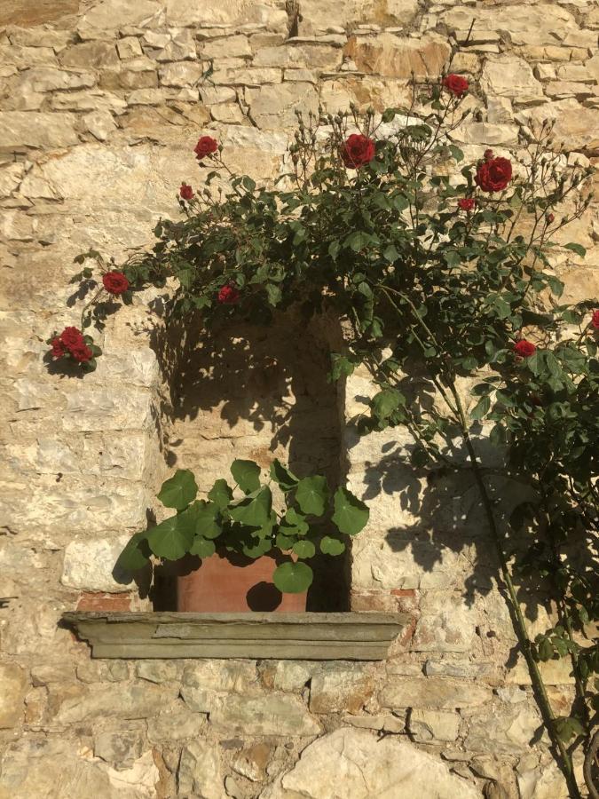 Mea Casa Toscana คาสเตลลินาอินเคียนติ ภายนอก รูปภาพ