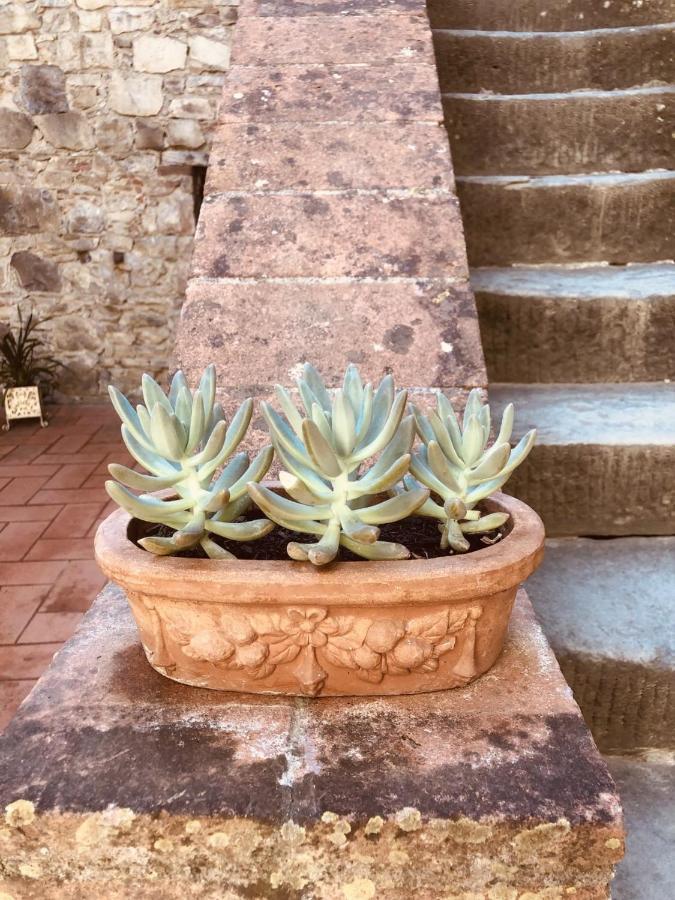 Mea Casa Toscana คาสเตลลินาอินเคียนติ ภายนอก รูปภาพ